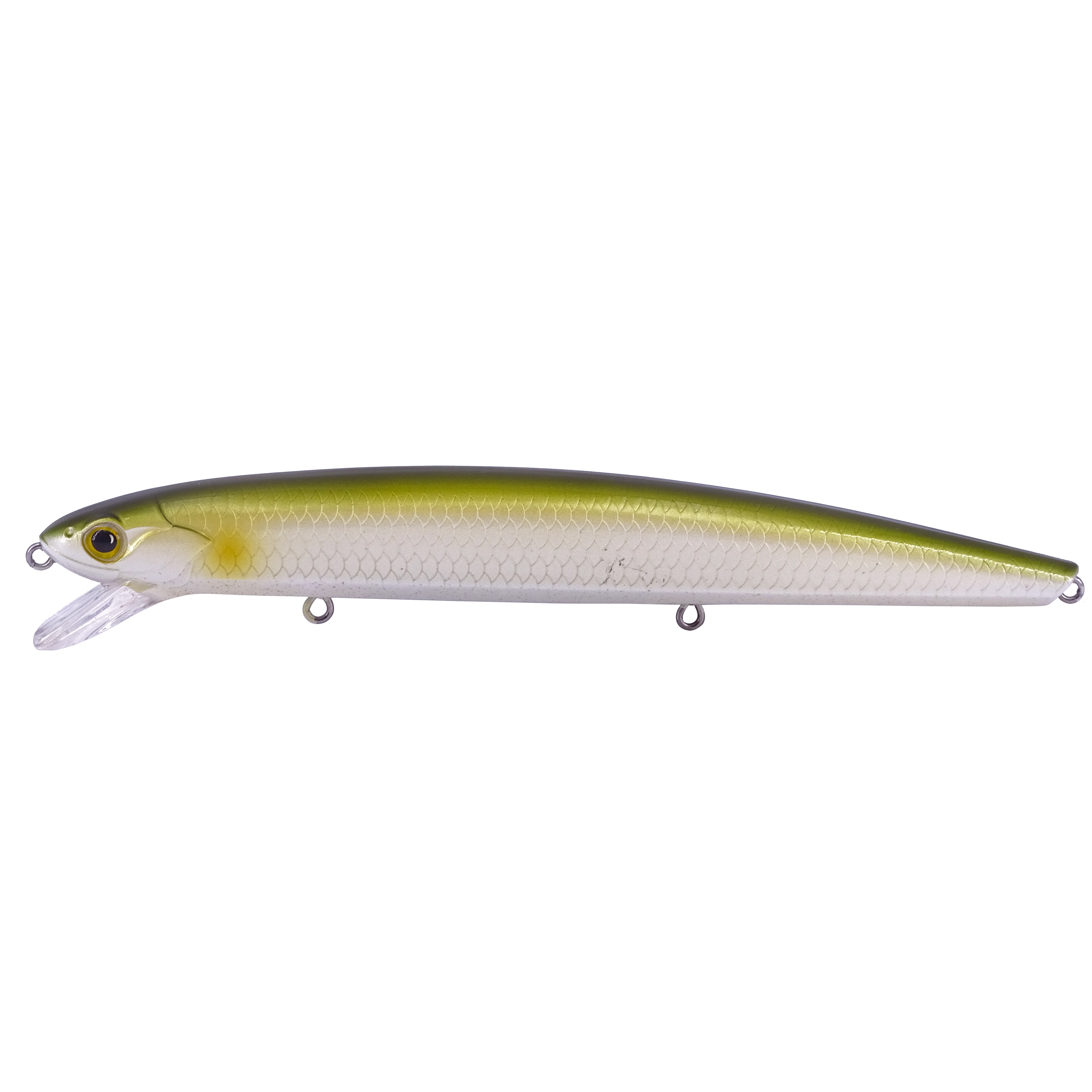 GOLDEN MINNOW 145F