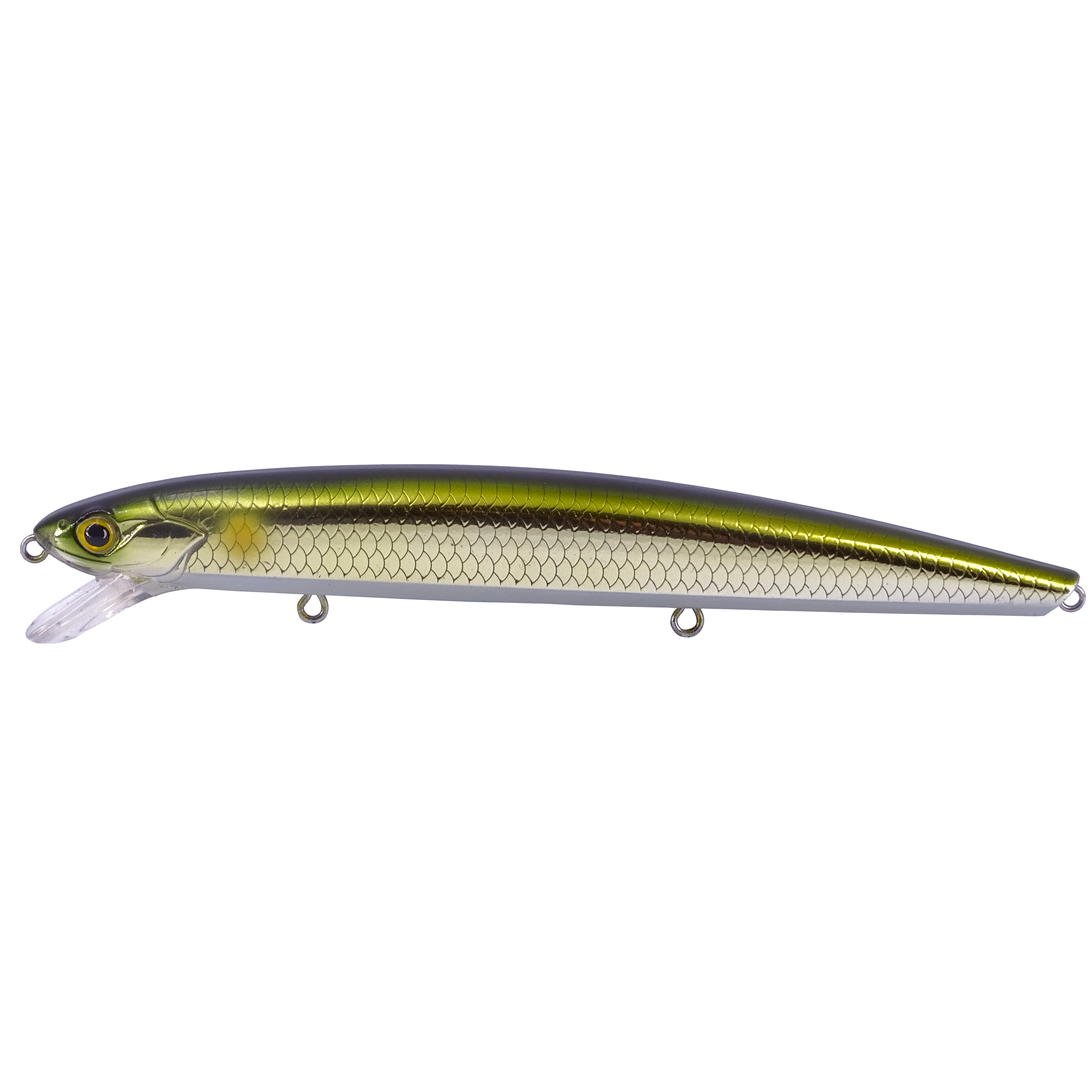 GOLDEN MINNOW 145F